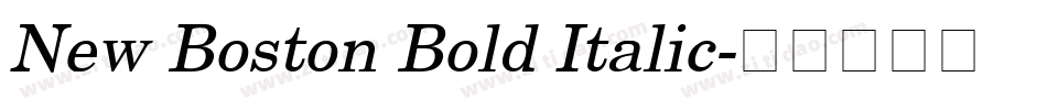 New Boston Bold Italic字体转换